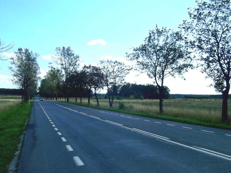 Polish countryside